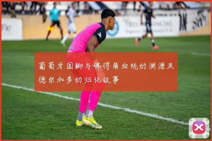 葡萄牙国脚与佛得角血统的渊源及德尔加多的归化故事