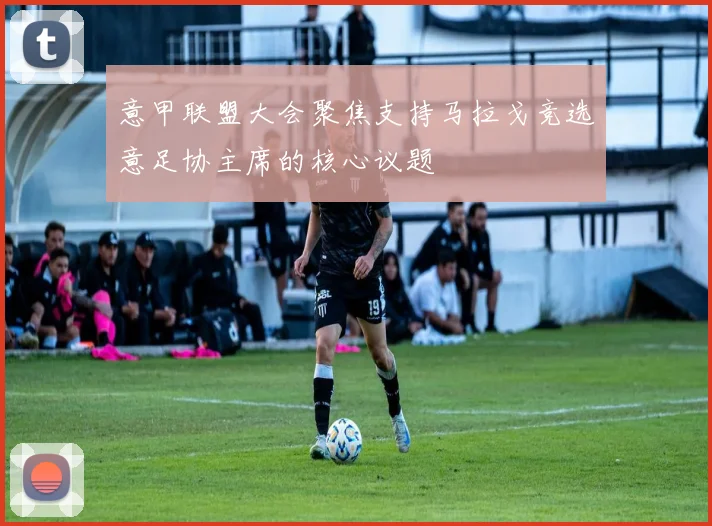 意甲联盟大会聚焦支持马拉戈竞选意足协主席的核心议题